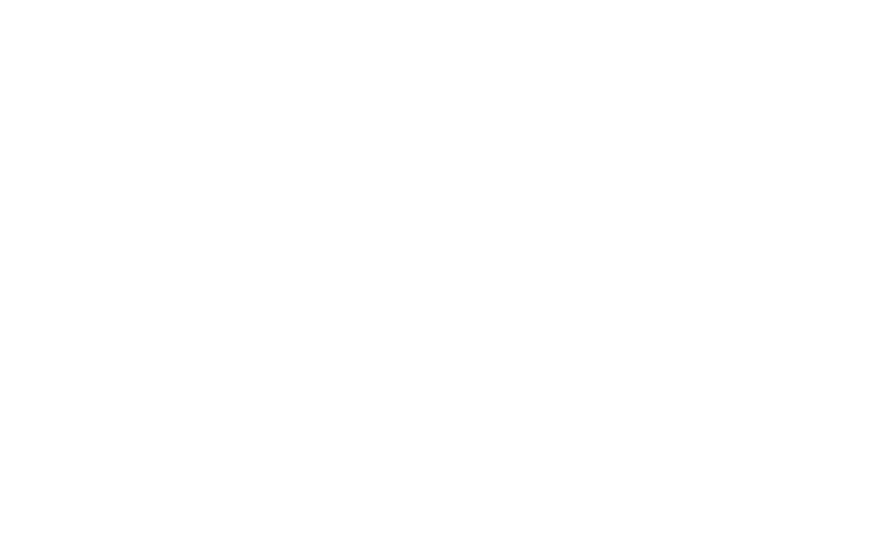 Second Wind logo